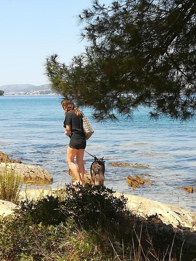 Villa Caroline Trogir Bagian luar foto